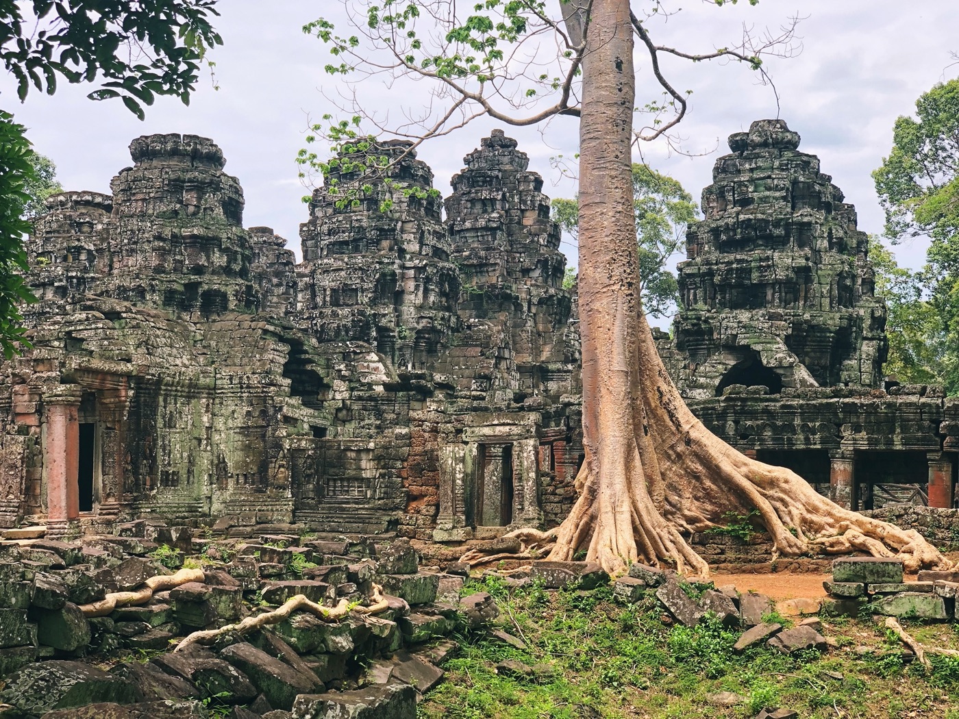 Tree roots surrounding the stone ruins of an Angkor temple