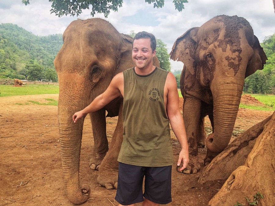 elephants in northern thailand