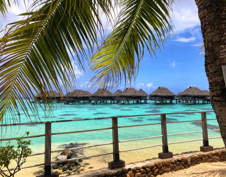 lagoon bungalows